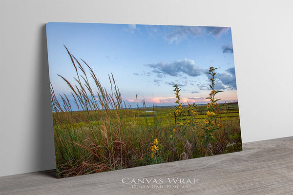 Debra Gail Fine Art Kansas Flint Hills Wildflowers Fine Art Print - Farmhouse Decor