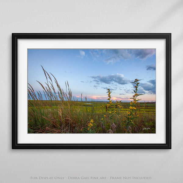 Debra Gail Fine Art Kansas Flint Hills Wildflowers Fine Art Print - Farmhouse Decor