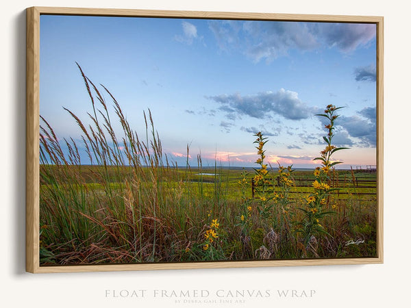 Debra Gail Fine Art Kansas Flint Hills Wildflowers Fine Art Print - Farmhouse Decor