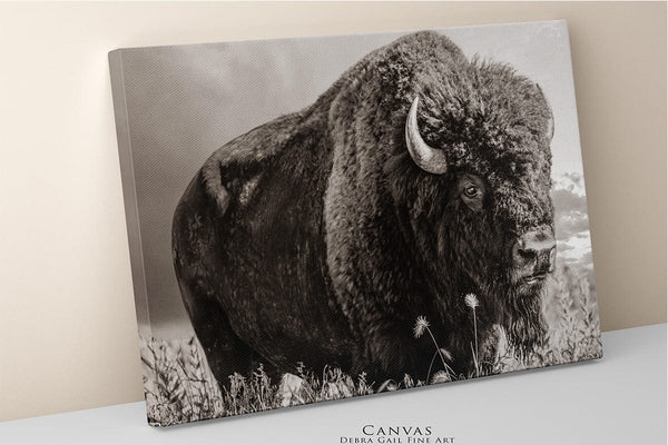 Debra Gail Fine Art LARGE BISON WALL ART PRINT OR CANVAS BY DEBRA GAIL