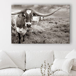 Debra Gail Fine Art Large Longhorn Western Wall Art