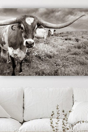 Texas Longhorn wall art – Western ranch photography print by Debra Gail Fine Art