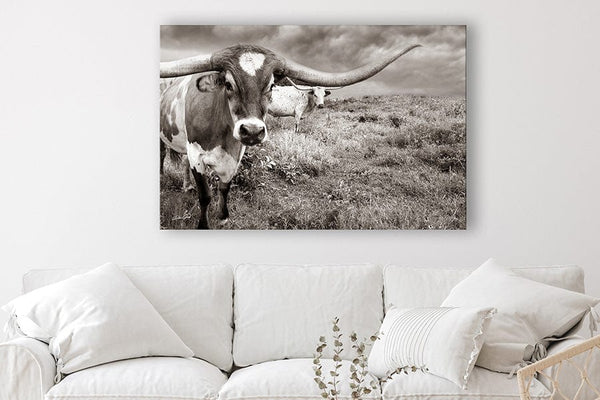 Debra Gail Fine Art Large Longhorn Western Wall Art