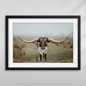 Longhorn cow wall decor canvas – rustic Western fine art print by Debra Gail Fine Art