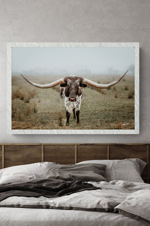 Longhorn cow wall decor canvas – rustic Western fine art print by Debra Gail Fine Art