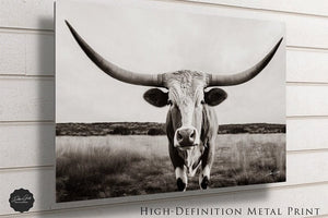 Longhorn cow wall decor canvas – rustic Western fine art print by Debra Gail Fine Art