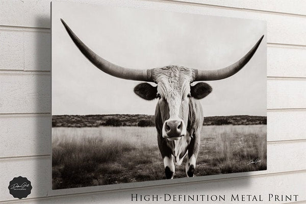 Debra Gail Fine Art Large Texas Longhorn Sepia Canvas Print