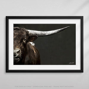 Texas Longhorn wall art – Western ranch photography print by Debra Gail Fine Art