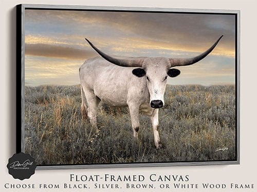 Debra Gail Fine Art Lone Star Western Decor Texas Longhorn Print Canvas