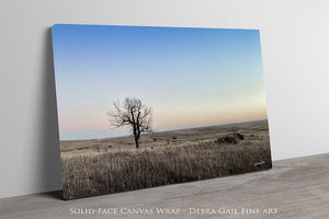 Flint Hills wall art – prairie tree landscape photography by Debra Gail Fine Art