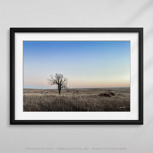 Flint Hills wall art – prairie tree landscape photography by Debra Gail Fine Art