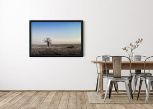 Flint Hills wall art – prairie tree landscape photography by Debra Gail Fine Art