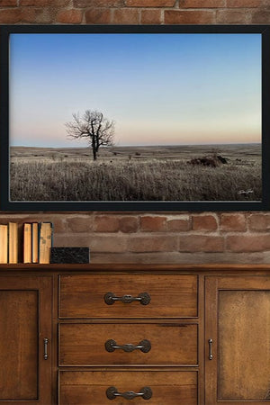 Flint Hills wall art – prairie tree landscape photography by Debra Gail Fine Art