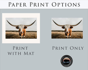 Texas Longhorn wall canvas barnwood framed Western fine art print by Debra Gail Fine Art