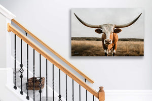 Texas Longhorn wall canvas barnwood framed Western fine art print by Debra Gail Fine Art
