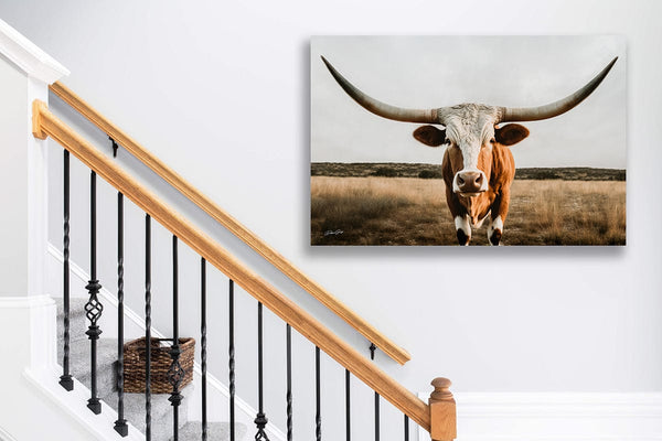 Debra Gail Fine Art Longhorn Art Canvas Print -  Western Wall Art