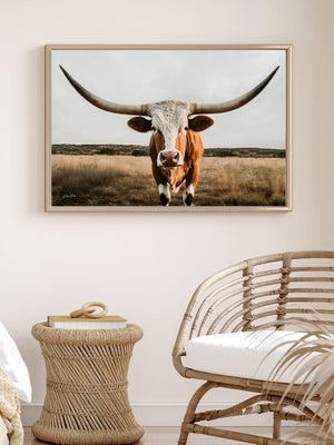 Texas Longhorn wall canvas barnwood framed Western fine art print by Debra Gail Fine Art