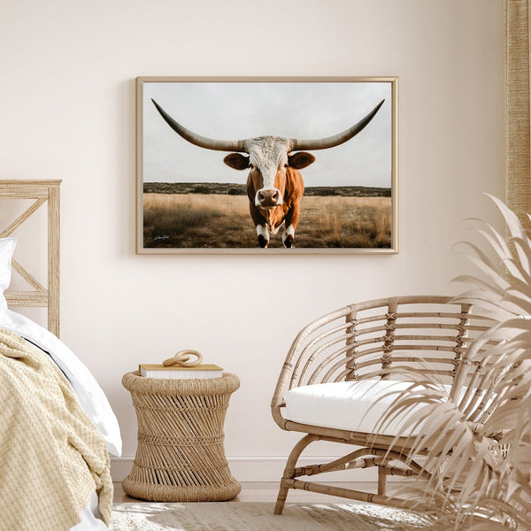 Debra Gail Fine Art Longhorn Art Canvas Print -  Western Wall Art