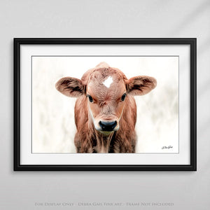 Longhorn cow calf wall at canvas – rustic Western fine art print by Debra Gail Fine Art