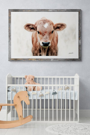 Longhorn cow calf wall at canvas – rustic Western fine art print by Debra Gail Fine Art
