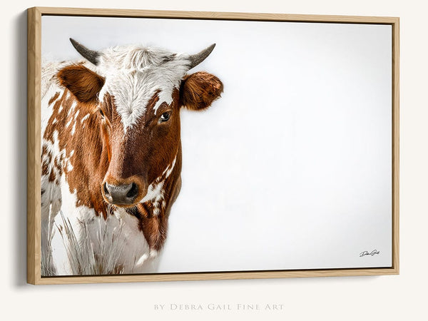 Debra Gail Fine Art Longhorn Calf Fine Art Print | Rustic Texas Longhorn Wall Art