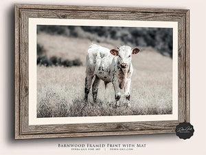 Debra Gail Fine Art Longhorn Canvas Wall Art in Farmhouse Colors