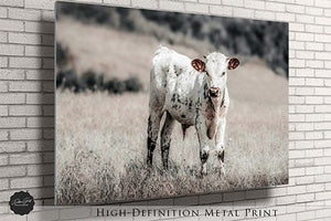 Debra Gail Fine Art Longhorn Canvas Wall Art in Farmhouse Colors
