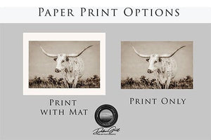 Texas Longhorn wall canvas barnwood framed Western fine art print by Debra Gail Fine Art