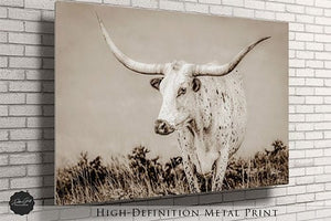 Texas Longhorn wall canvas barnwood framed Western fine art print by Debra Gail Fine Art
