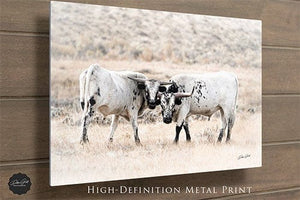 Debra Gail Fine Art Longhorn Canvas Wall Art in Neutral Farmhouse Colors