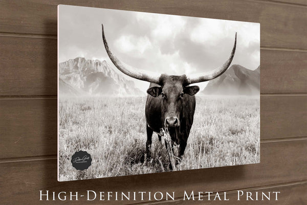 Debra Gail Fine Art Longhorn Canvas Wall Art in Sepia Farmhouse Colors