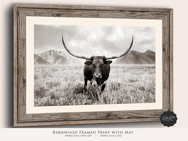 Debra Gail Fine Art Longhorn Canvas Wall Art in Sepia Farmhouse Colors