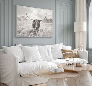Texas Longhorn wall art – Western ranch photography print by Debra Gail Fine Art