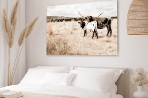 Texas Longhorn wall canvas barnwood framed Western fine art print by Debra Gail Fine Art
