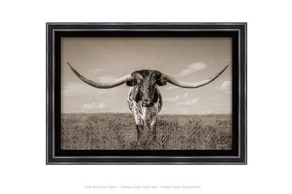 Debra Gail Fine Art Longhorn Cow Print or Canvas by Debra Gail - Neutral Farmhouse Decor