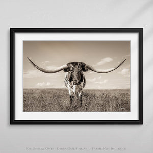 Longhorn wall canvas barnwood framed Western fine art print by Debra Gail Fine Art