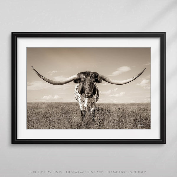 Debra Gail Fine Art Longhorn Cow Print or Canvas by Debra Gail - Neutral Farmhouse Decor