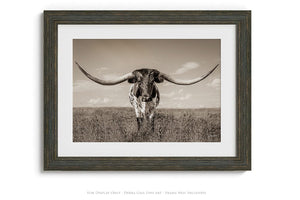 Longhorn wall canvas barnwood framed Western fine art print by Debra Gail Fine Art
