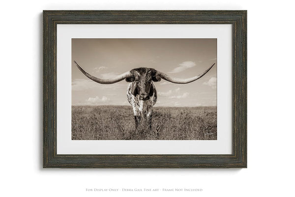 Debra Gail Fine Art Longhorn Cow Print or Canvas by Debra Gail - Neutral Farmhouse Decor