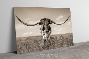 Longhorn wall canvas barnwood framed Western fine art print by Debra Gail Fine Art