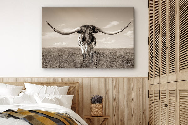 Debra Gail Fine Art Longhorn Cow Print or Canvas by Debra Gail - Neutral Farmhouse Decor