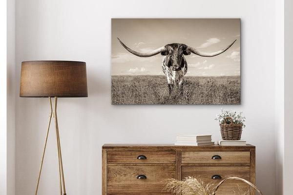 Debra Gail Fine Art Longhorn Cow Print or Canvas by Debra Gail - Neutral Farmhouse Decor