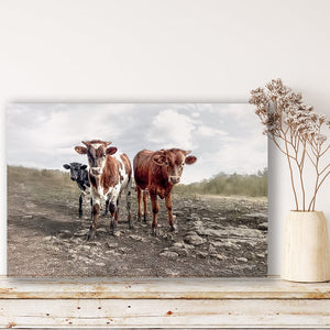 Debra Gail Fine Art Longhorn Cow Print Picture - Cute Baby Calves