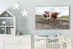 Texas Longhorn wall art – calves cow Western ranch photography print by Debra Gail Fine Art