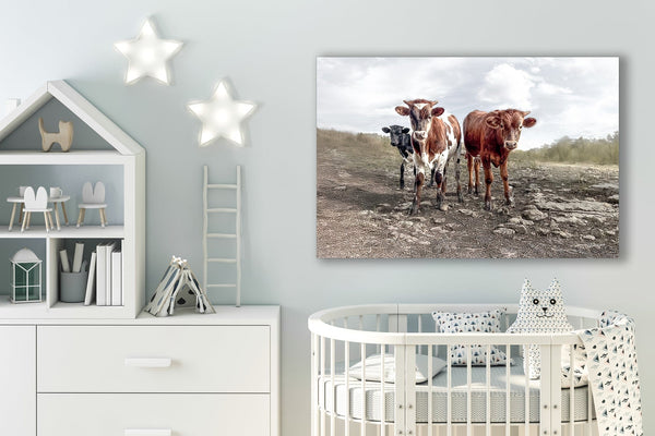 Debra Gail Fine Art Longhorn Cow Print Picture - Cute Baby Calves