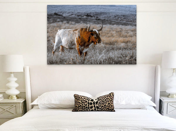 Debra Gail Fine Art Longhorn Wall Art Canvas Print