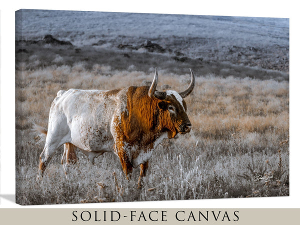 Debra Gail Fine Art Longhorn Wall Art Canvas Print