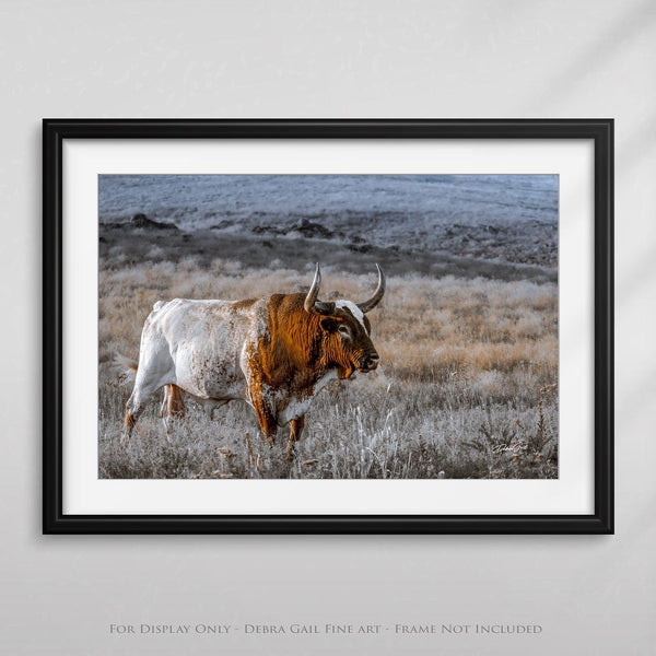 Debra Gail Fine Art Longhorn Wall Art Canvas Print