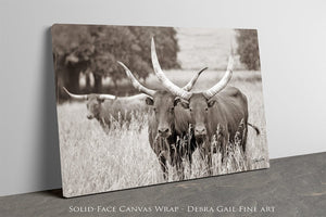 Longhorn cow wall decor canvas – rustic Western fine art print by Debra Gail Fine Art
