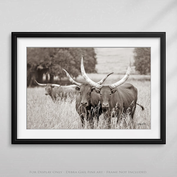 Debra Gail Fine Art Longhorn Watusi Cattle Canvas Picture - Western Decor